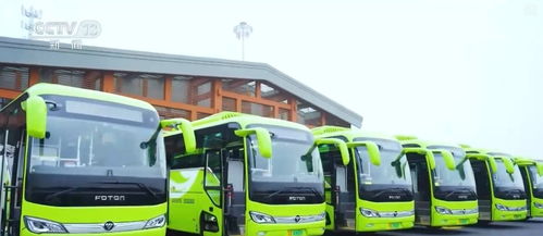 創(chuàng)新迭代、跨界融合與國際合作 中國新能源汽車產(chǎn)業(yè)海外投資勢頭強(qiáng)勁