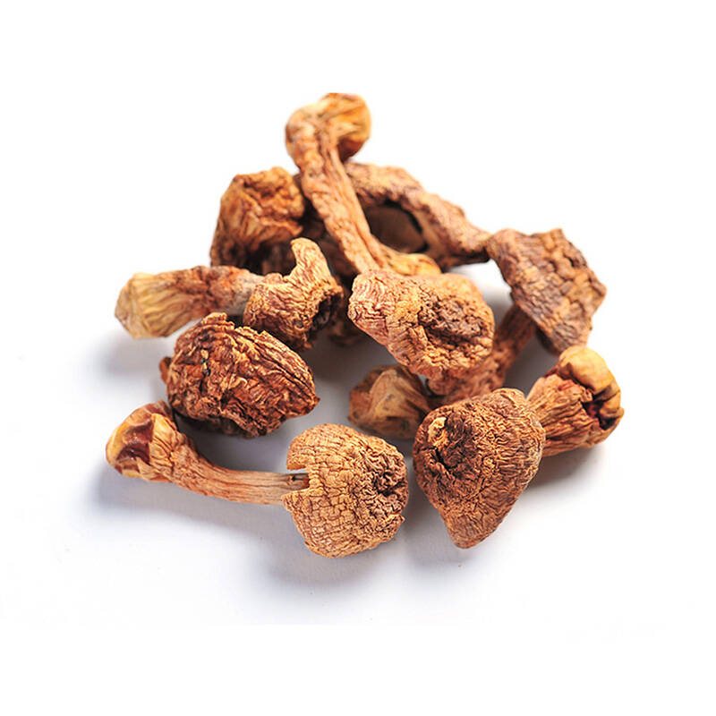 谷綠農(nóng)品四川姬松茸 來(lái)自山野的饋贈(zèng)，干貨中的珍品